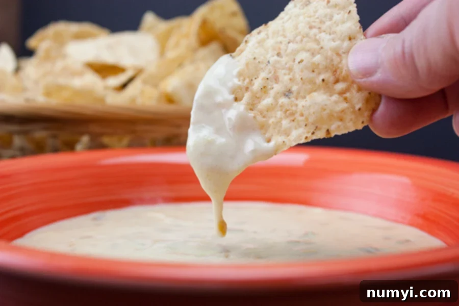 Creamy, golden queso dip in a bowl, garnished with cilantro, perfect for dipping tortilla chips.