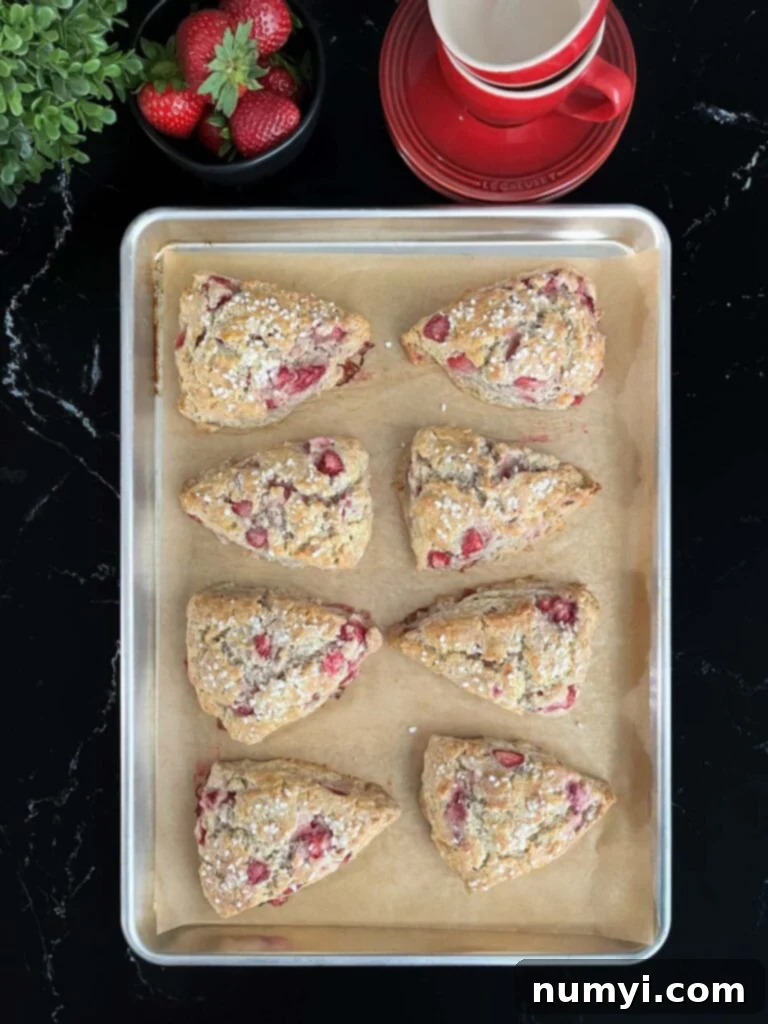 Luscious Strawberry Scones 10 Baked strawberry scones cooling on a baking sheet, golden brown and perfectly risen.