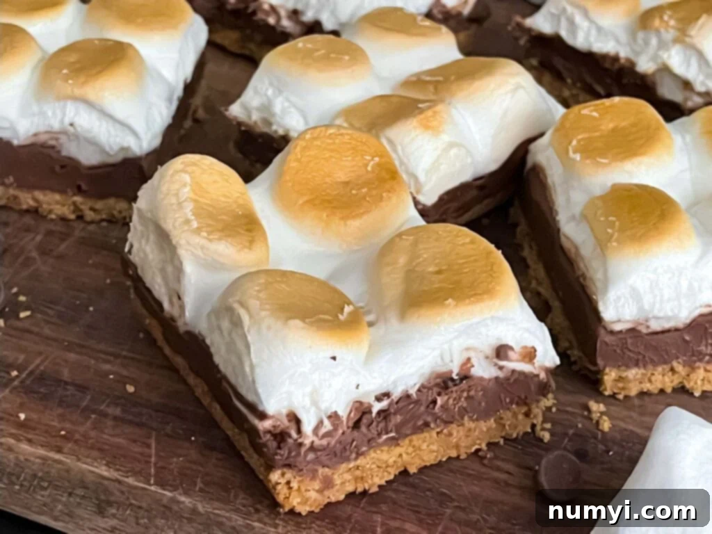 Smores Bars 2 Delicious S'mores bars on a wooden cutting board, showcasing layers of graham cracker, chocolate, and toasted marshmallows.