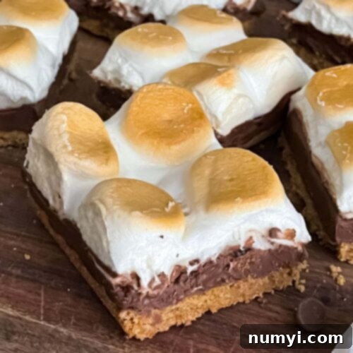 Smores Bars 10 Classic S'mores bars with toasted marshmallows, chocolate, and graham cracker.