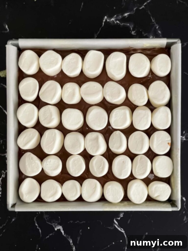 Smores Bars 8 Marshmallows neatly arranged over the melted chocolate layer for s'mores bars.