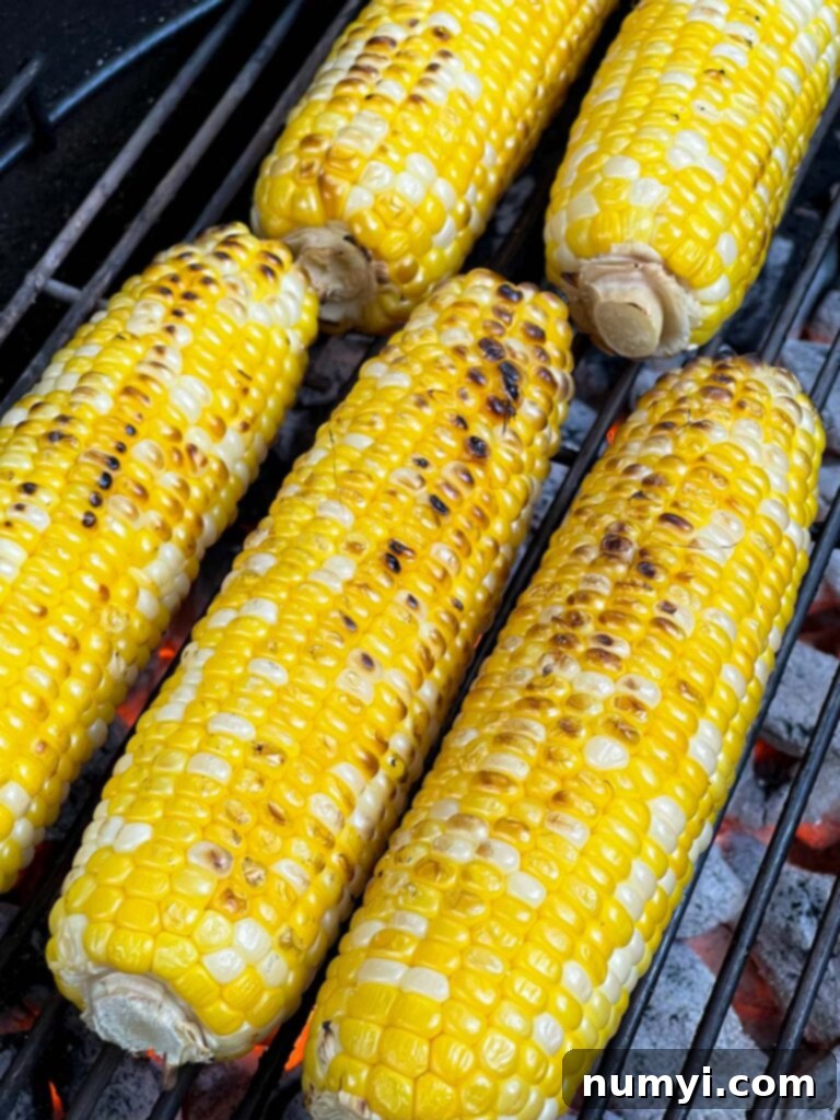 Fresh Grilled Shrimp and Corn Salad 9 Corn on the cob grilling on an outdoor barbecue, showing initial charring.