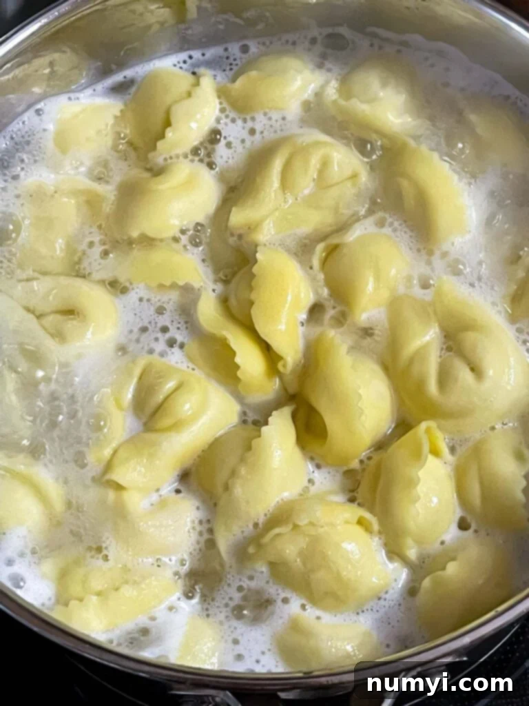 Vibrant Greek Tortellini Pasta Salad 5 Cheese tortellini boiling in a pot of salted water, preparing for a refreshing pasta salad.