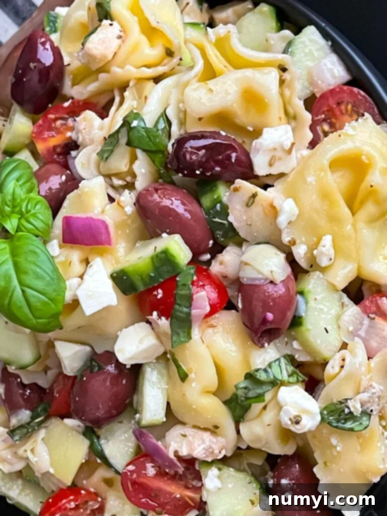 Vibrant Greek Tortellini Pasta Salad 8 A dark ceramic bowl filled with freshly made Greek Tortellini Pasta Salad, garnished with fresh basil.
