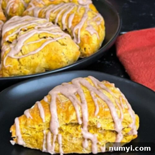 Pumpkin scones a dark plate on a dark surface.