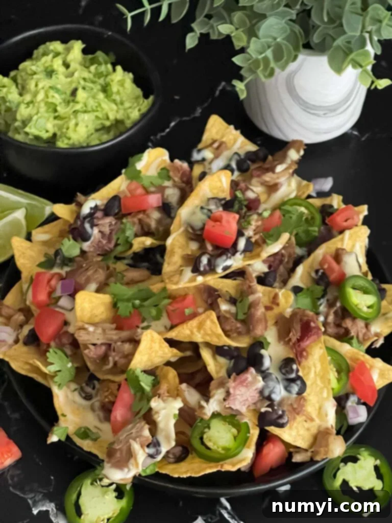 Smoky Pork Nacho Mountain 2 Pulled pork nachos with red onion, tomato, and jalapeno.