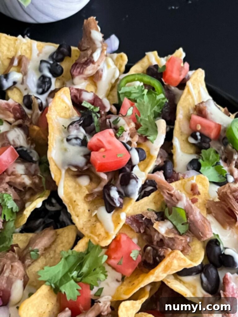Smoky Pork Nacho Mountain 11 Pulled pork nachos with red onion, tomato, and jalapeno.