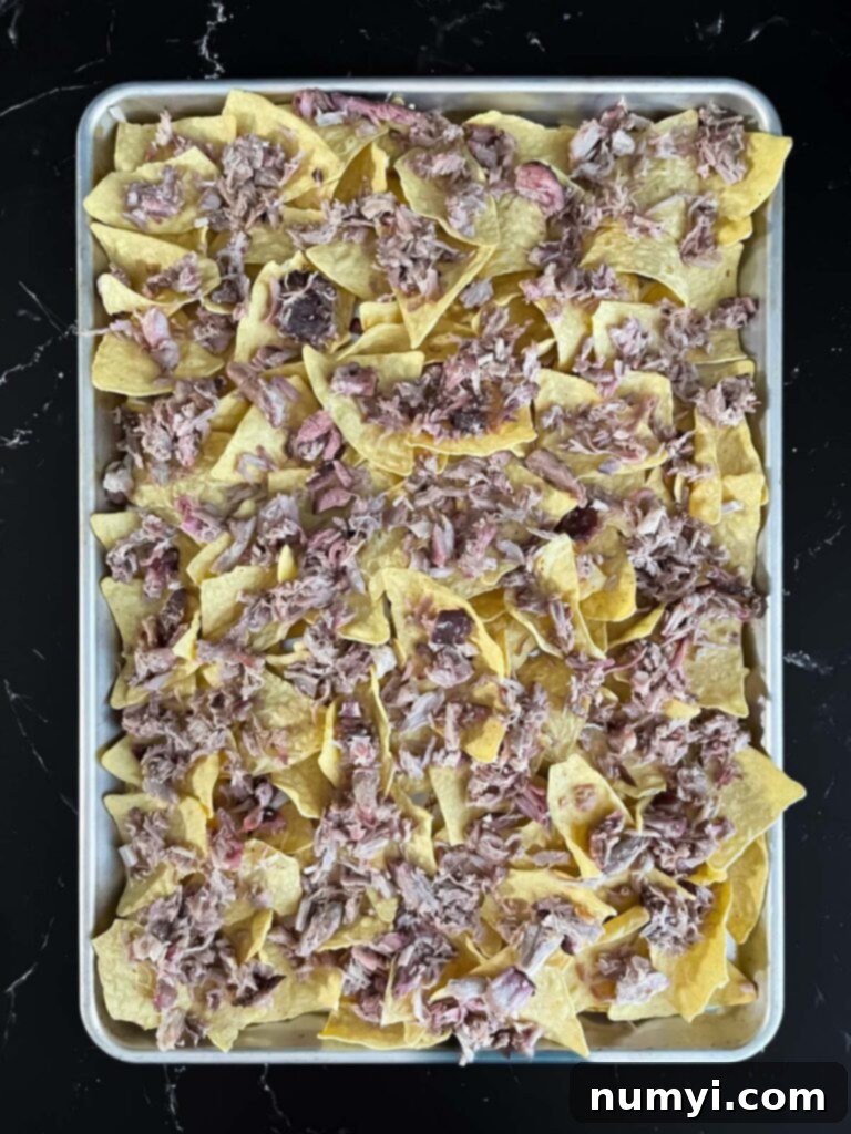 Smoky Pork Nacho Mountain 6 Tortilla chips with some smoked pork on top.