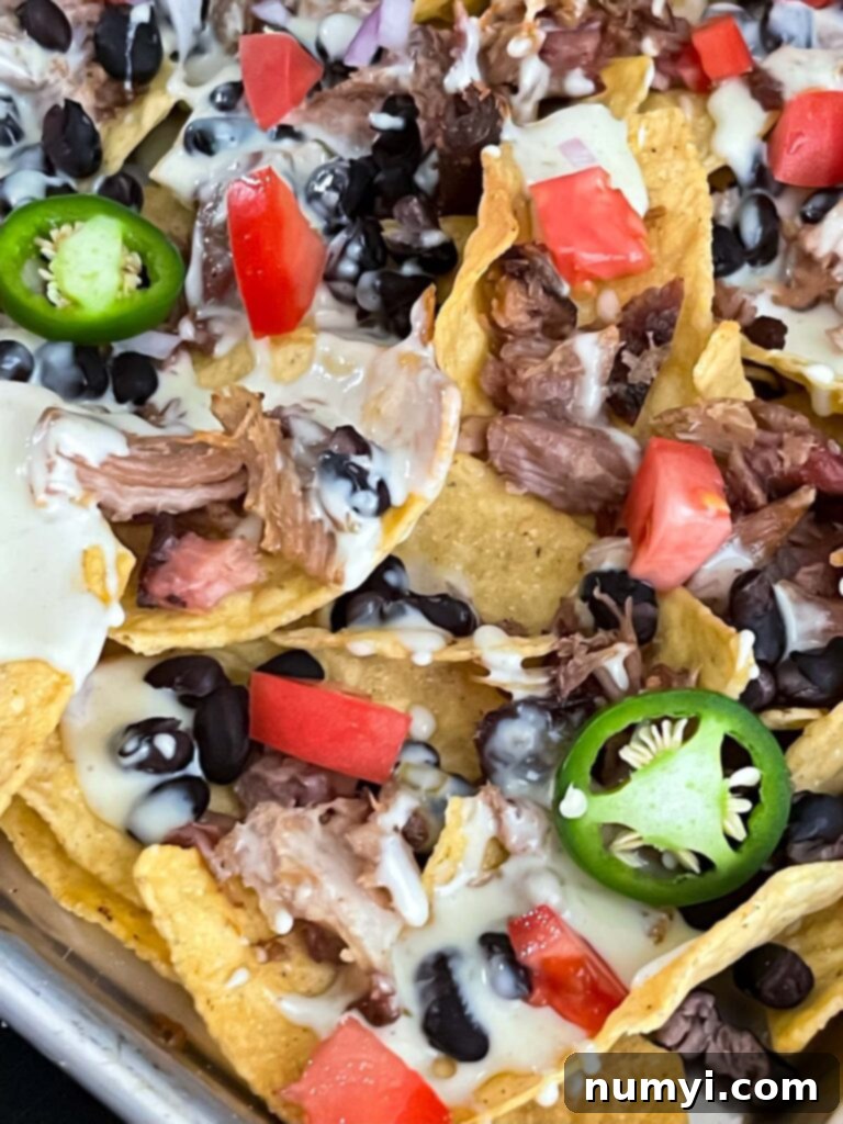 Smoky Pork Nacho Mountain 9 Pulled pork nachos with red onion, tomato, and jalapeno.