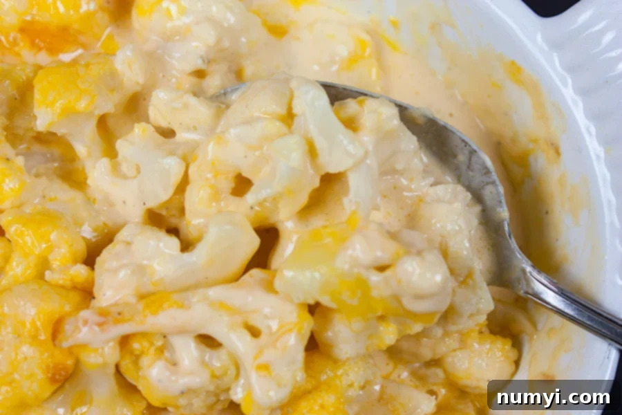 Creamy Cauliflower Mac and Cheese 2 Baked Cauliflower Mac and Cheese in a white casserole dish, golden brown and bubbly.