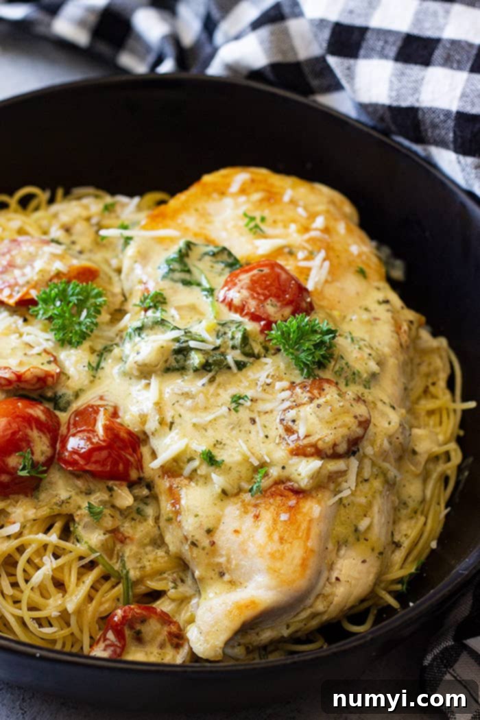 Close up of Creamy Tuscan Chicken in a bowl on top of pasta. 