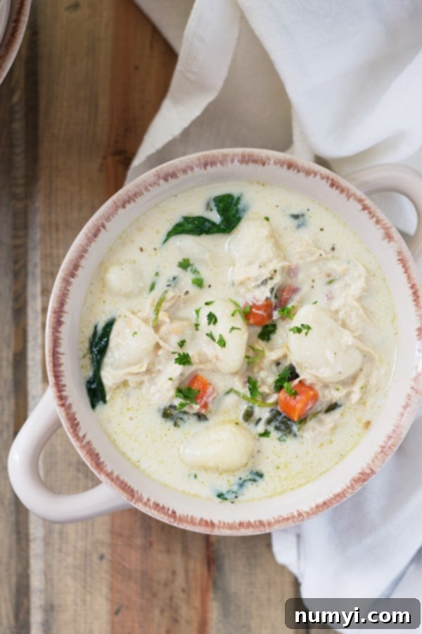 A bowl of creamy slow cooker chicken gnocchi soup with a white dish with handles, showcasing tender chicken and soft gnocchi.