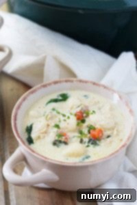 A close-up of a bowl of creamy chicken gnocchi soup with a spoon, ready to eat.