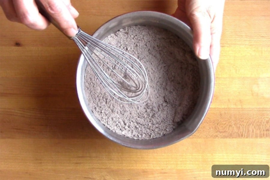 A metal bowl containing whisked flour, cocoa powder, baking soda, and salt, ready for mixing into the wet ingredients.