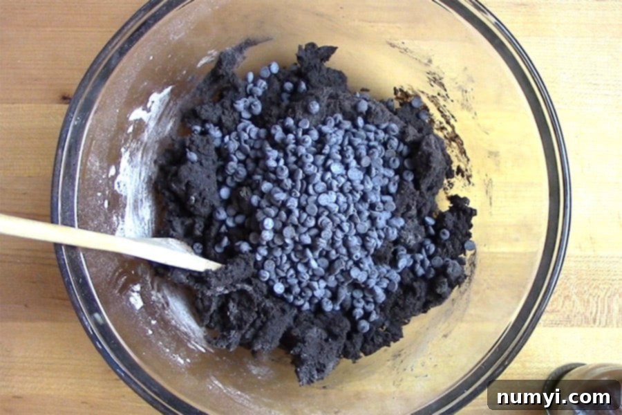 Dark chocolate biscotti dough, rich and dense, with visible chocolate chips, resting in a clear glass mixing bowl, ready for shaping.