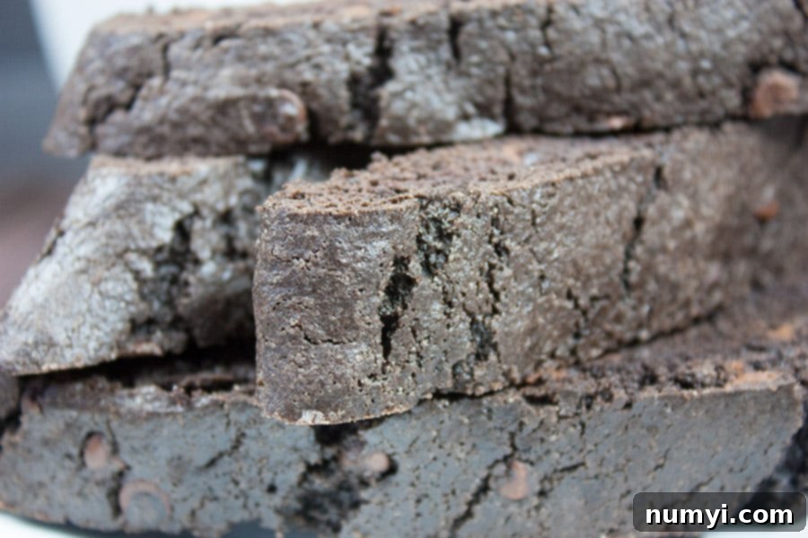 A close-up view of a dark chocolate biscotti, highlighting its crunchy texture and chocolate chip inclusions.