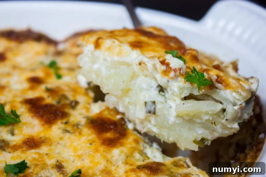 Creamy Herb Potatoes Gratin being served out of a white casserole dish.