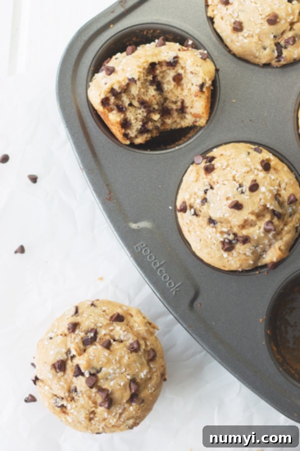 Peanut Butter Chocolate Chip Bliss Muffins 4 An inviting overhead shot of warm peanut butter muffins, generously studded with mini chocolate chips, cooling in a muffin tin. One perfect muffin sits proudly outside the tin, ready to be enjoyed.