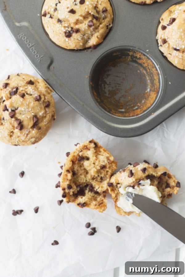 Peanut Butter Chocolate Chip Bliss Muffins 5 A delectable scene featuring several warm peanut butter chocolate chip muffins, freshly removed from the cupcake tin. One muffin is cut open, revealing its moist interior, and is being buttered with a knife, highlighting its irresistible texture.