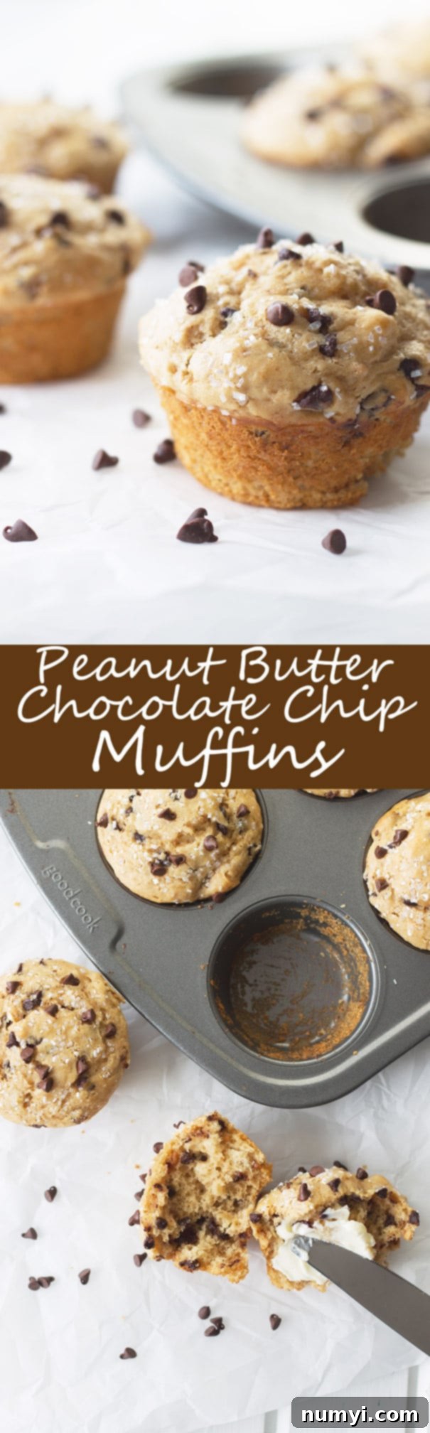 Peanut Butter Chocolate Chip Bliss Muffins 7 Two mouth-watering photos of peanut butter muffins, generously studded with mini chocolate chips, bisected by an elegant text overlay with recipe details.