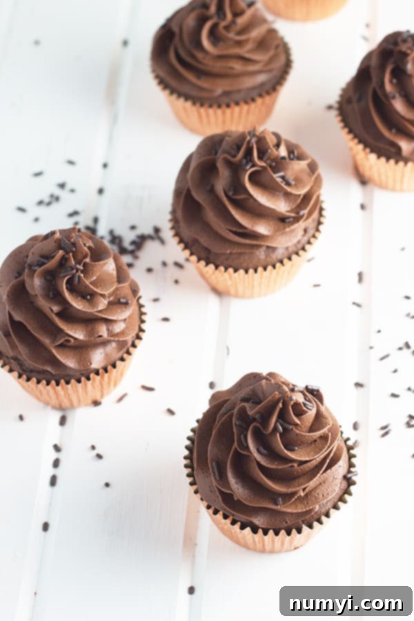 Our family's latest pregnancy update, including my current cravings for Mexican food and a surprising new love for eggs on avocado toast. Plus, a fantastic chocolate cupcake recipe! | countrysidecravings.com