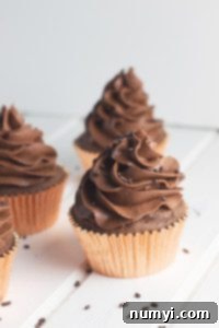 Decadent Chocolate Cupcakes topped with smooth Chocolate Buttercream Frosting