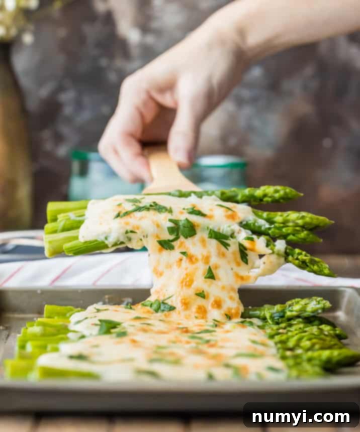 Rich Three Cheese Asparagus Gratin, a luxurious and savory vegetable side dish, baked with a blend of cheeses to create a golden, bubbly crust, ideal for holiday meals.