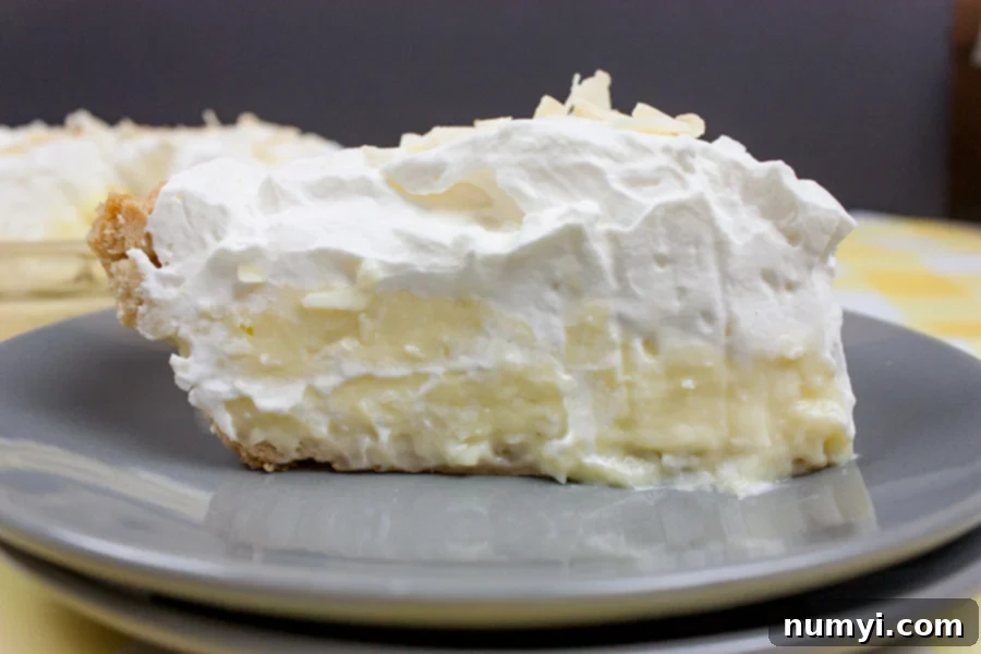 A perfectly sliced piece of Coconut Cream Pie on a gray plate, ready to be enjoyed.