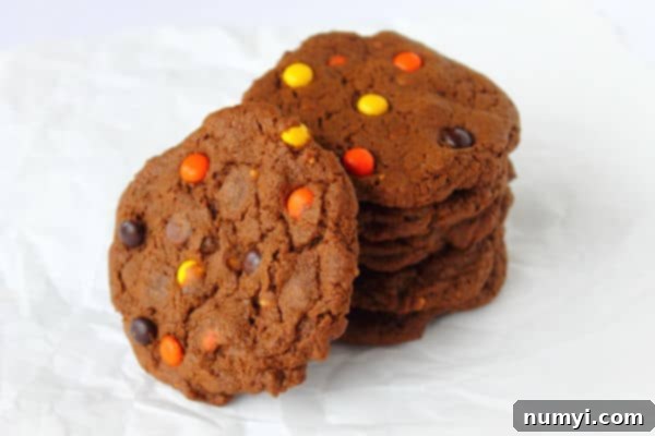 Irresistible Double Chocolate Peanut Butter Cookies 3 A perfectly arranged stack of Double Chocolate Peanut Butter Cookies, with one delicious cookie leaning casually against the side, showcasing their soft, chewy texture.