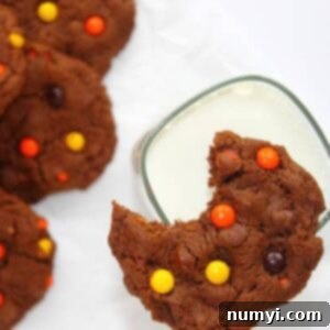 Irresistible Double Chocolate Peanut Butter Cookies 5 Double Chocolate Peanut Butter Cookies