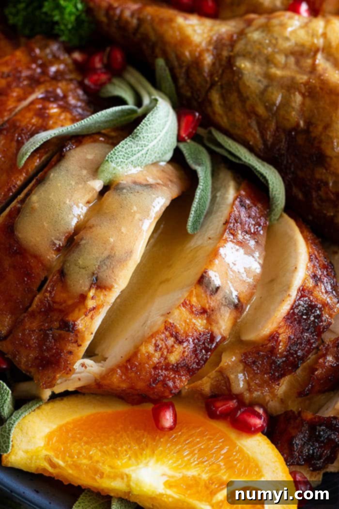 Close-up of a perfectly roasted Beer and Butter Turkey slice topped with rich, homemade gravy, highlighting its moist and tender texture.