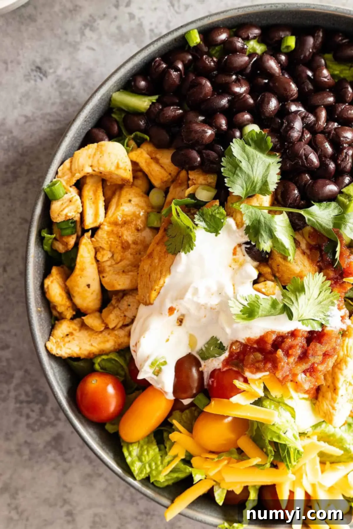 Fiesta Chicken Bowls 5 Overhead view of a large bowl filled with chicken taco bowl ingredients, including seasoned chicken, black beans, corn, a dollop of sour cream and salsa, and shredded cheese, ready to be mixed.