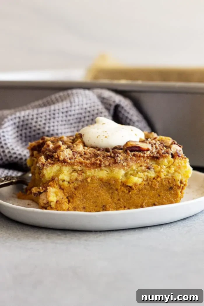 Simple Pumpkin Perfection 2 A generous slice of golden-brown pumpkin dump cake on a white plate, beautifully topped with a swirl of fresh whipped cream and a sprinkle of cinnamon, perfect for a fall dessert.