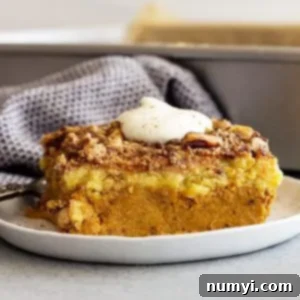 Simple Pumpkin Perfection 8 Large piece of pumpkin dump cake on a white plate topped with freshly whipped cream.
