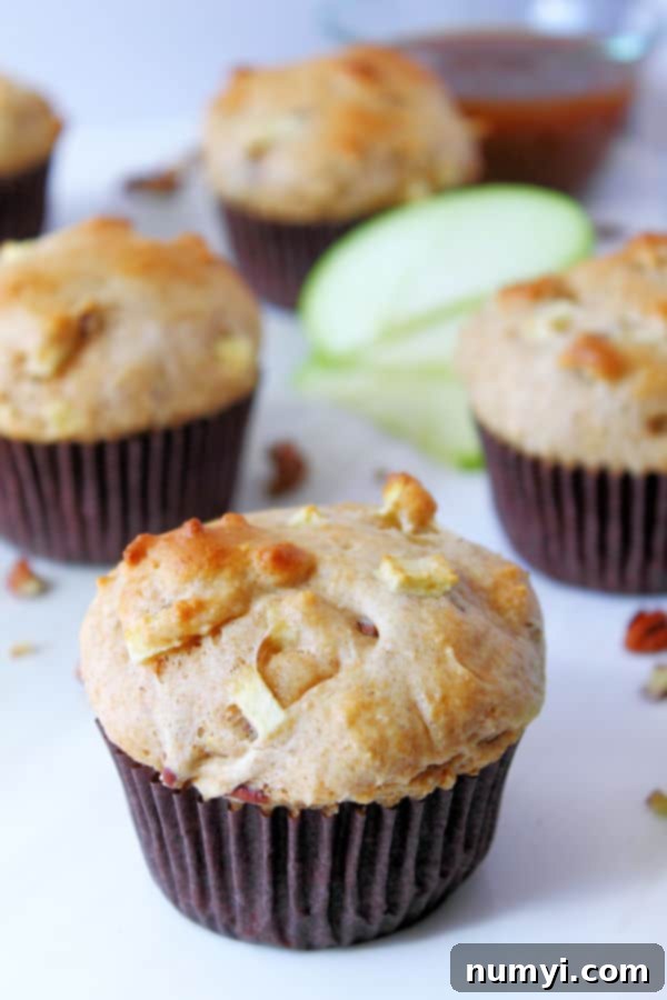 Close-up of baked apple muffins with pecans in their individual paper liners, showcasing their golden-brown tops and rich texture.