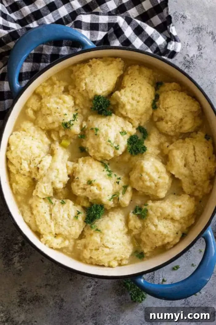 turkey and dumplings in a pan