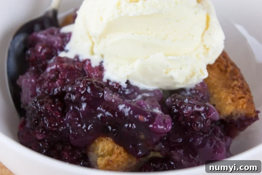 Easy Blackberry Cobbler with ice cream on top.