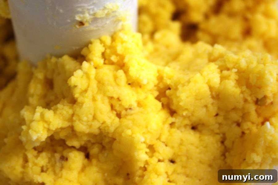 Whip Up Your Own Spicy Cheese Crackers 4 Spicy Cheese Crackers dough in the bowl of a food processor after initial pulsing, showing a coarse, crumbly texture.