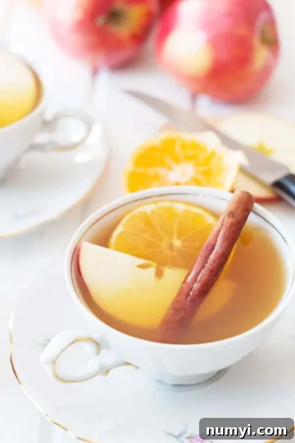 Slow Cooker Apple Cider 2 closeup: tea cup of hot crockpot apple cider with cinnamon stick and orange slice garnish, ready to warm you up this fall or winter