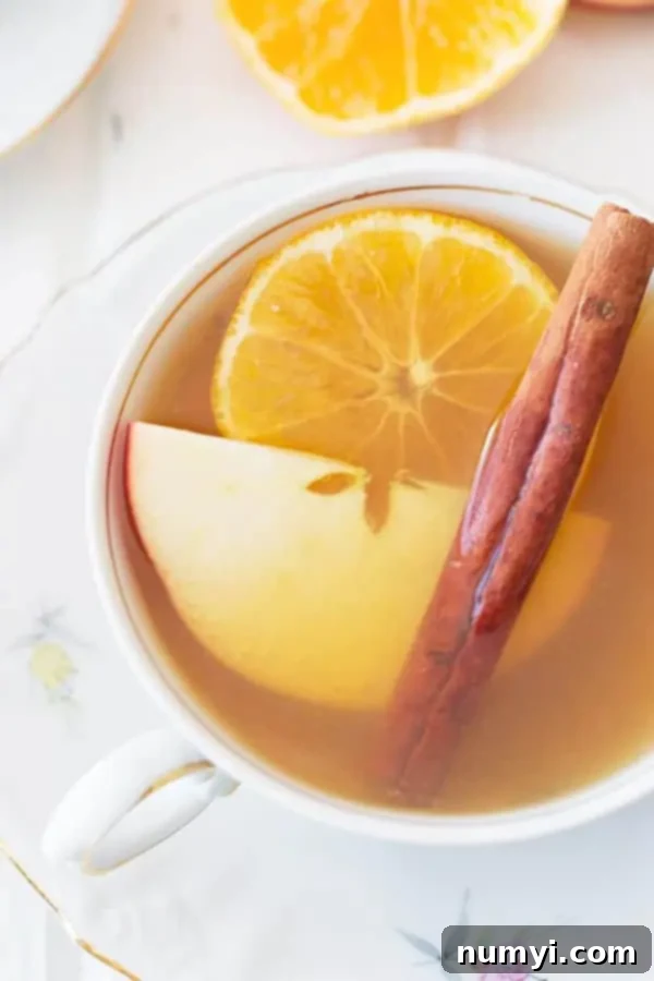 Slow Cooker Apple Cider 3 overhead closeup: a mug of homemade slow cooker apple cider with orange, apple, and cinnamon garnishes