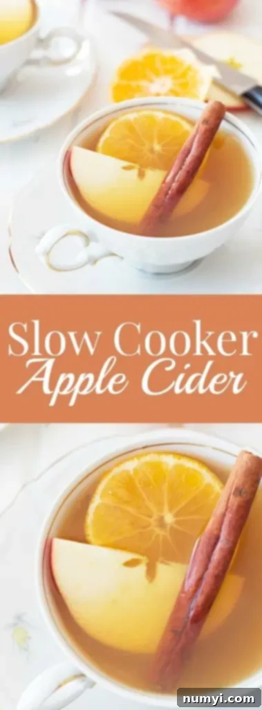 Slow Cooker Apple Cider 6 titled image (and shown): slow cooker apple cider recipe for fall and winter holidays