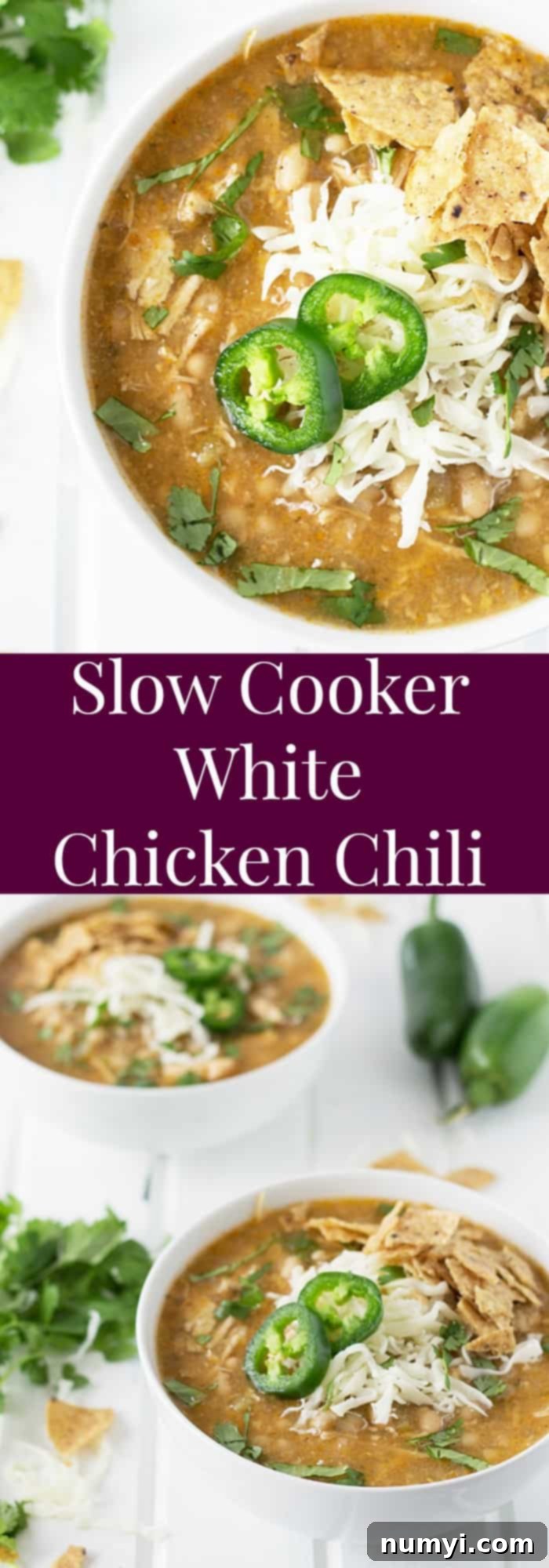 Slow Cooker White Chicken Chili 7 Slow Cooker White Chicken Chili banner image with text overlay 'Slow Cooker White Chicken Chili' on a rustic background.