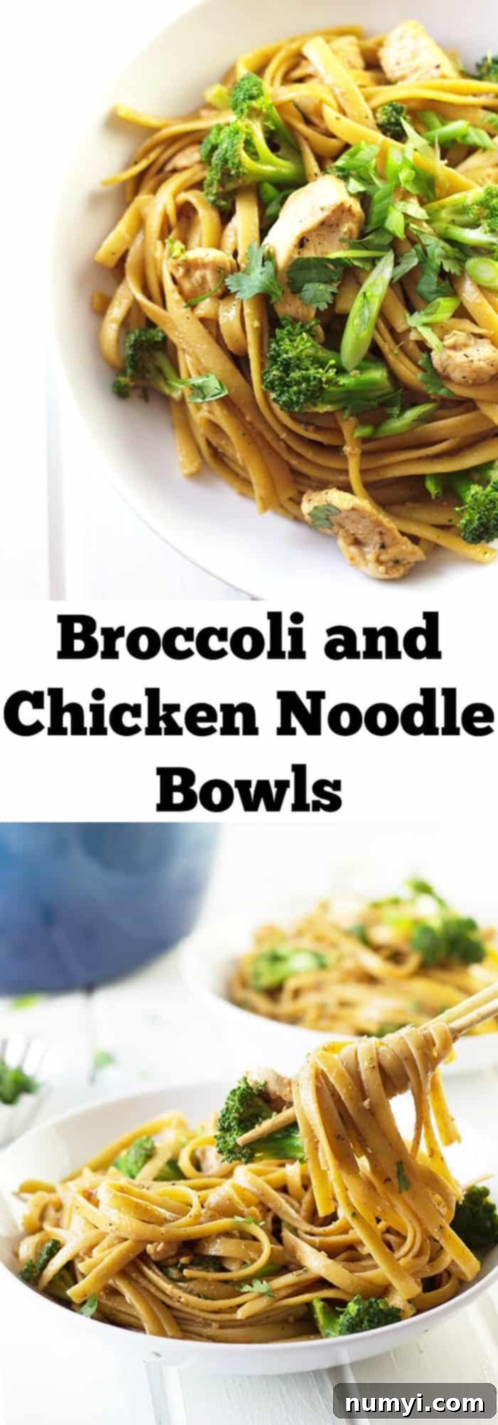 Broccoli and Chicken Noodle Bowl- a quick, easy and tasty weeknight meal! | countrysidecravings.com