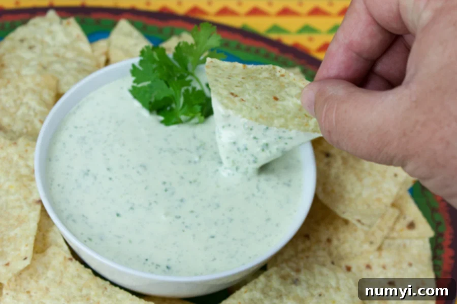 Creamy Jalapeno Cilantro Dip in a serving bowl surrounded with tortilla chips.