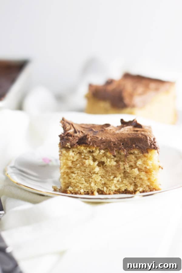 Peanut Butter Chocolate Dream Cake 4 Thick square slice of homemade peanut butter cake generously covered in creamy chocolate frosting, ready to be enjoyed.