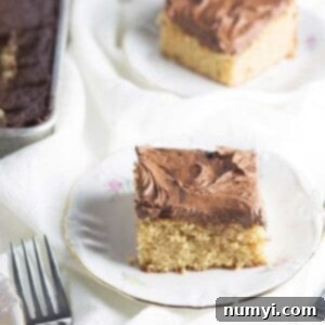 Peanut Butter Chocolate Dream Cake 5 A square slice of Peanut Butter Cake with Chocolate Frosting, ready to eat.