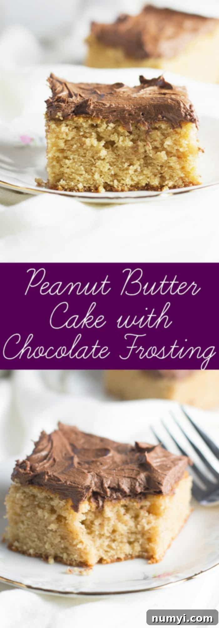 Peanut Butter Chocolate Dream Cake 6 Peanut Butter Cake with Chocolate Frosting in a 9x13 pan with text overlay advertising the recipe.