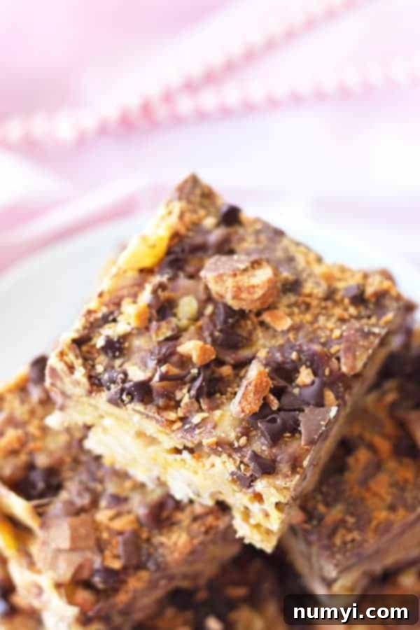 a close-up photo of frito bars with chocolate chips