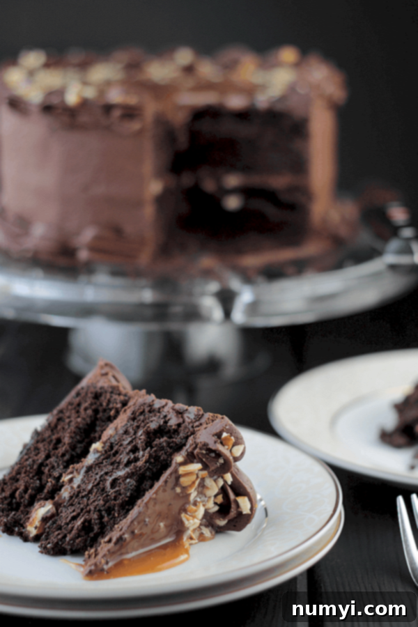 Decadent Chocolate Turtle Cake with rich chocolate frosting, pecans, and caramel, a delightful dessert