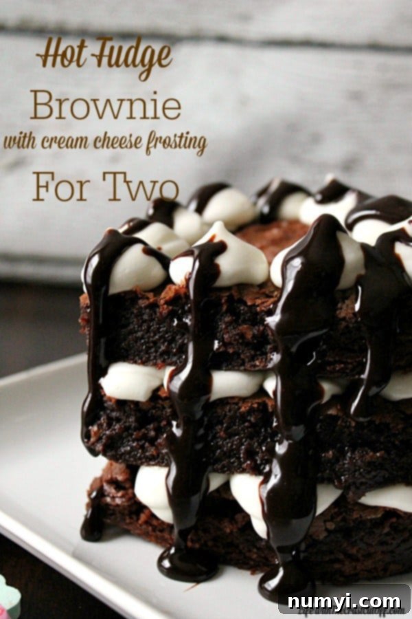 Irresistible Hot Fudge Brownies with Cream Cheese Frosting, perfectly portioned for two
